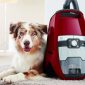 Blizzard CX1 Cat Dog Canister Vacuum