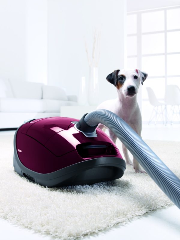 Miele Complete C3 Cat & Dog portable vacuum